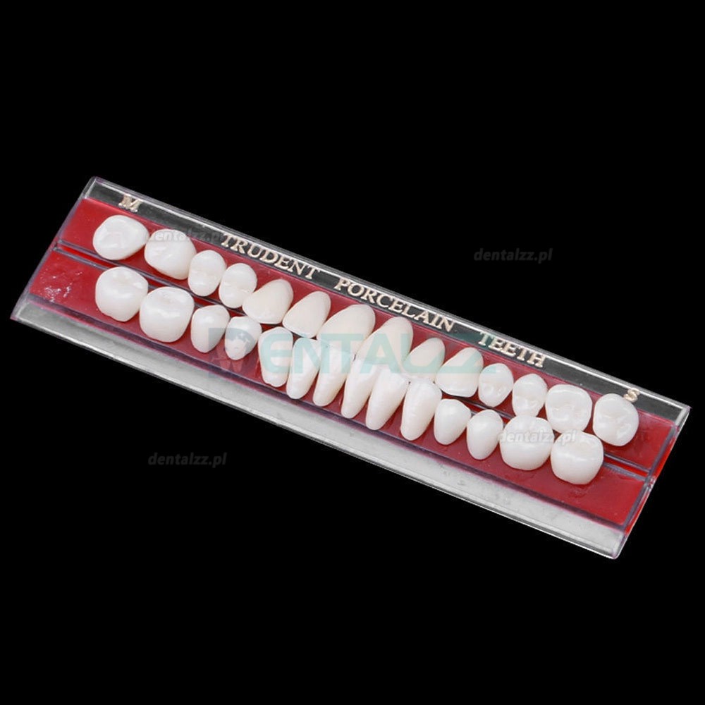 2 Szt Materiał na protezę dentystyczną z porcelany stop-szpilka Kolory zębów przewodnik po odcieniach 24 #