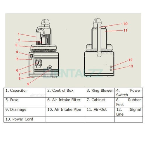 GREELOY® GS-01 300L/min 750W Mobilny odsysacz dentystyczny do 1-2 foteli dentystycznych