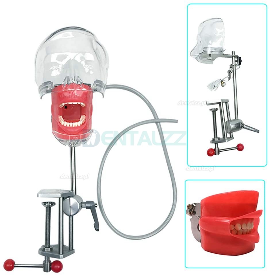 BD-402 Przenośny unit stomatologiczny + Lampy polimeryzacyjne + Zestaw rękojeści + Głowa fantomowa