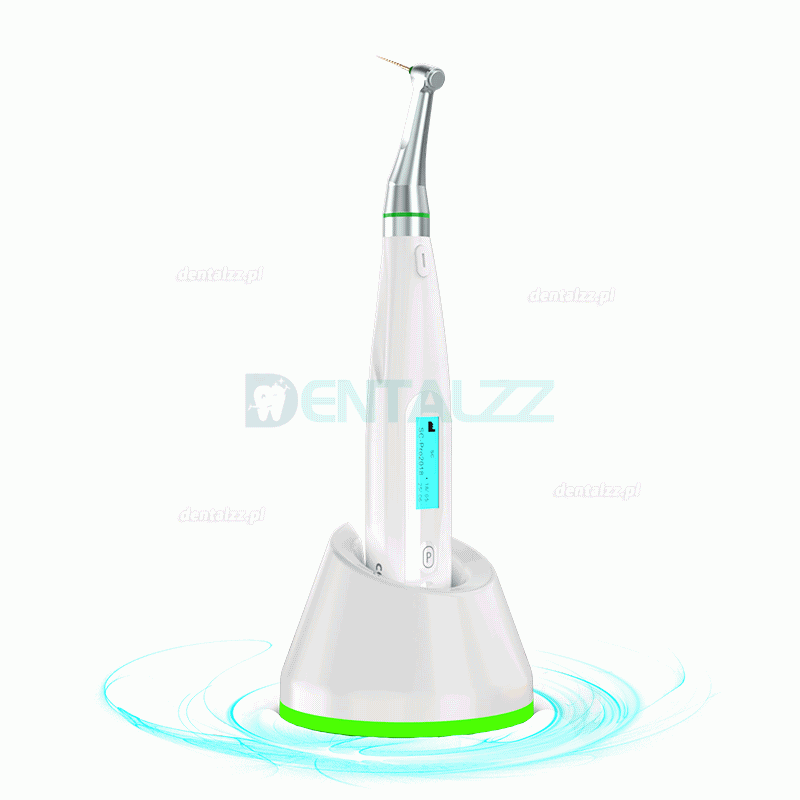 YUSENDENT COXO C-smart Mini AP Mikrosilnik Endodontyczny z wbudowanym Endometrem 2 in 1