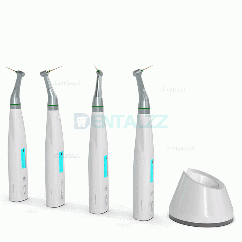 YUSENDENT COXO C-smart Mini AP Mikrosilnik Endodontyczny z wbudowanym Endometrem 2 in 1