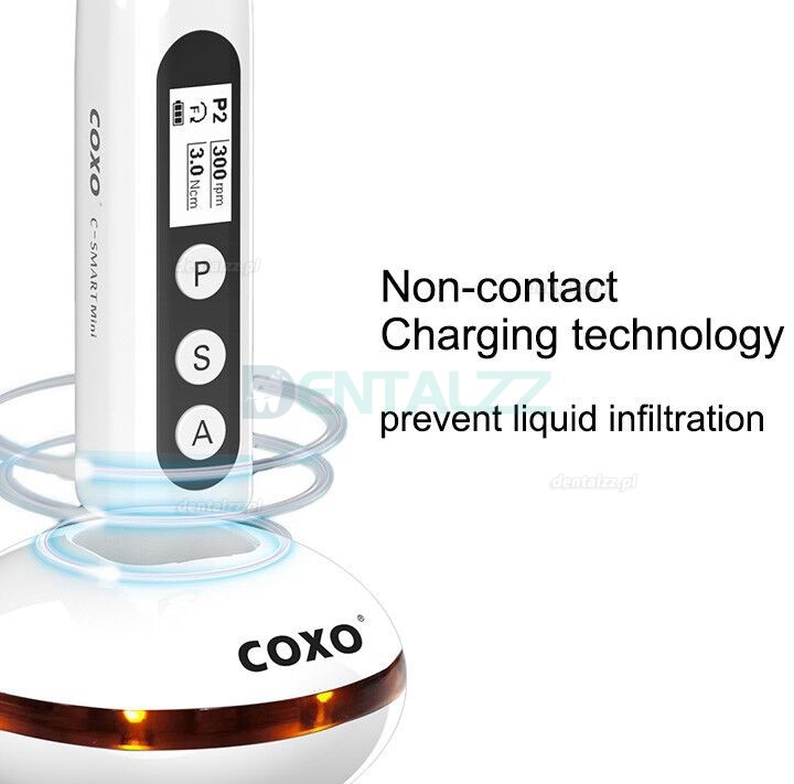 YUSENDENT COXO C-Smart-Mini Mikrosilniki endodontyczne bezprzewodowa kątnica 1: 1