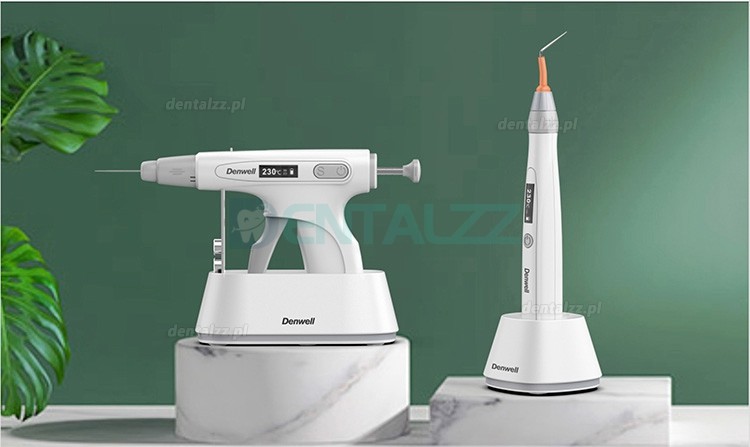 BYOND DFill System do obturacji Gutaperki Endodontyczny Denwell-4