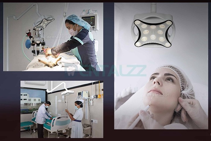 Micare JD1700 Lampa dentystyczna do montażu sufitowego LED Gabinet badawczy bezcieniowe światło egzaminacyjne