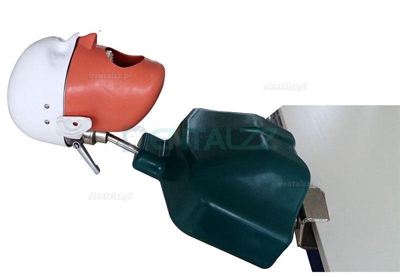Jingle JG-C1 Dental Manikin Phantom Head Clamp Type Typodont Compatible with Nissin Kilgore/ Frasaco