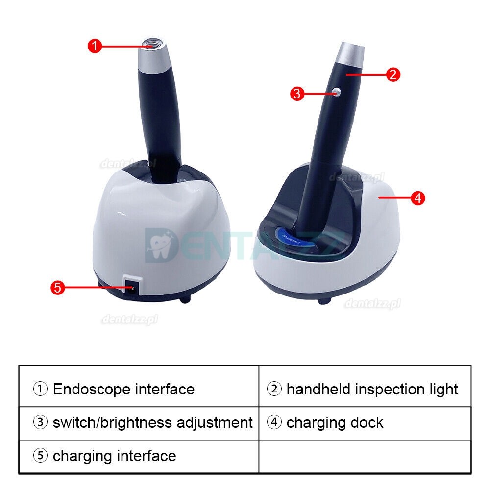 KWS KD-2005W-3 5W Przenośna lampa inspekcyjna stomatologiczna LED z możliwością ładowania