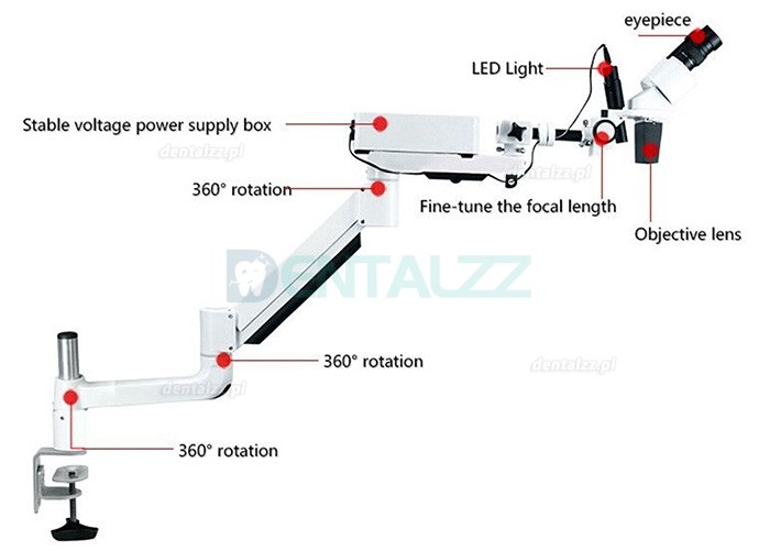 10X Stomatologiczny mikroskop operacyjny endodontyczny mikroskop chirurgiczny stołowy montowany na biurku