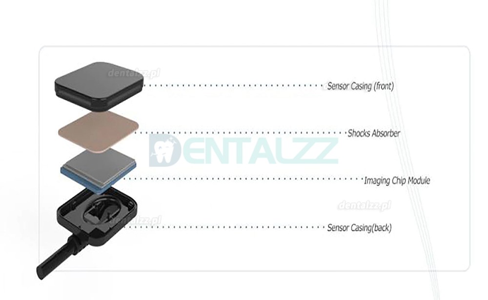Cyfrowy czujnik stomatologiczny RVG system obrazowania wewnątrzustnego dentystycznego