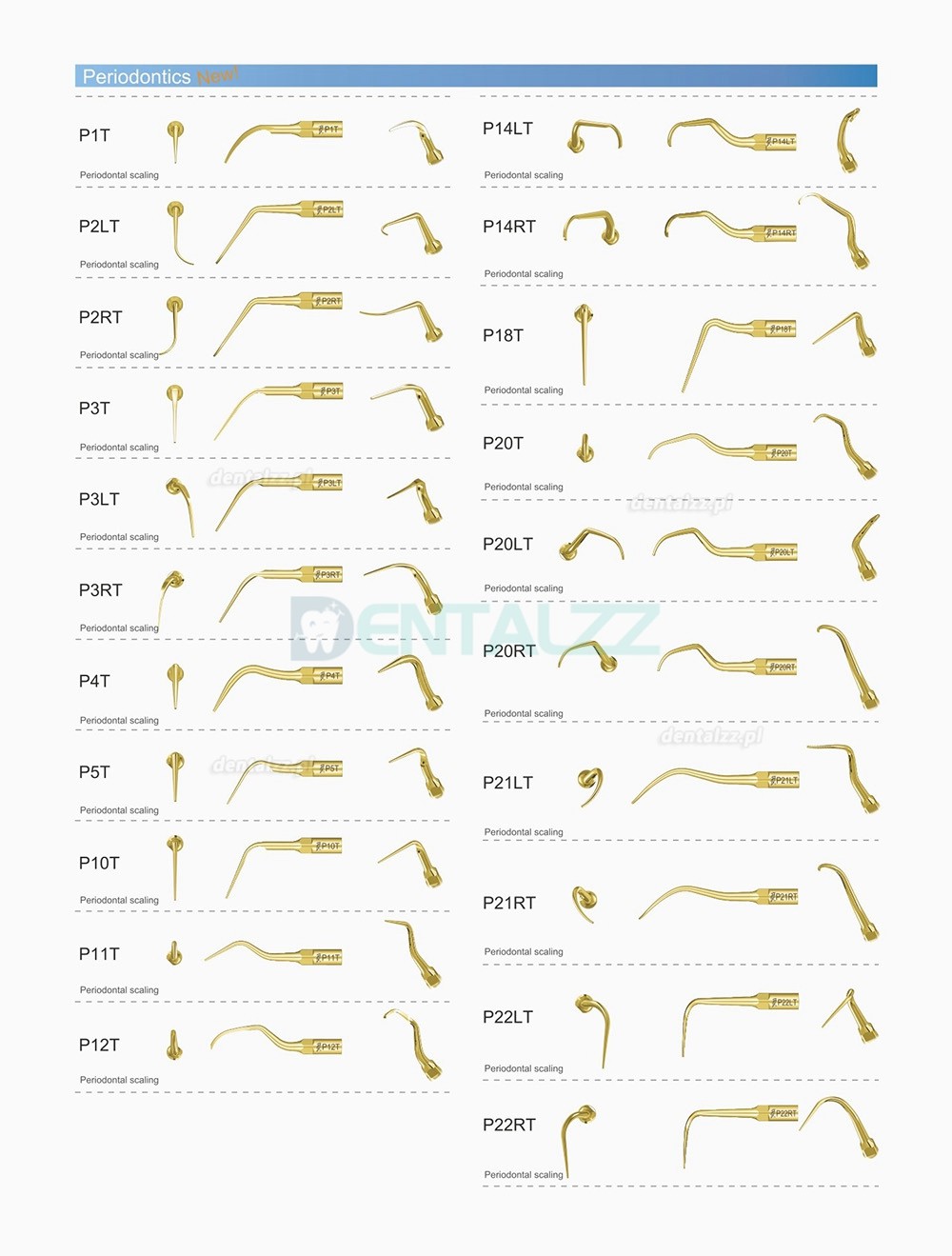 10 Sztuk Woodpecker DTE Końcówka do skalera Endodontyczny E1 E2 E3 E3D E4 E4D E5 E5D E8 E9 E10D E11 E11D E14 Kompatybilny z EMS