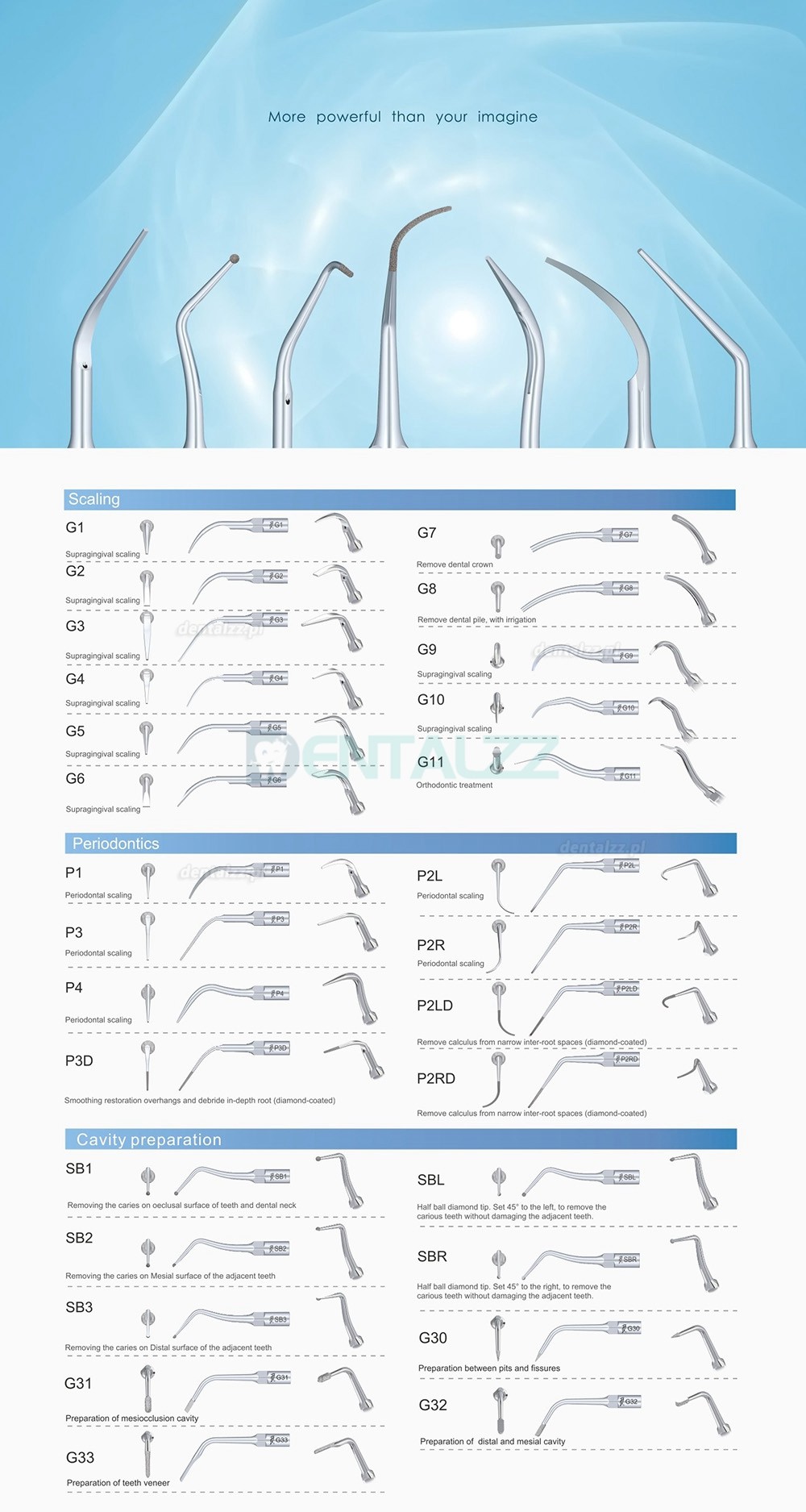 10 Sztuk Woodpecker DTE Końcówka do skalera Endodontyczny E1 E2 E3 E3D E4 E4D E5 E5D E8 E9 E10D E11 E11D E14 Kompatybilny z EMS