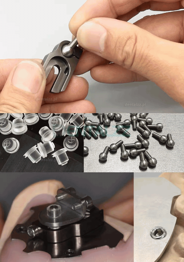 Rejestrator Pionowej Relacji Centralnej z Trasowaniem Łuku Gotyckiego dla Pacjent&oacute;w Bezzębnych