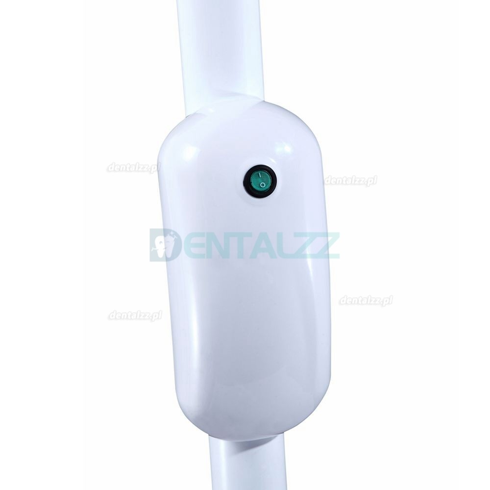 30W Maszyna do wybielania zębów dentystycznych Mobilna dioda LED 6 niebieska zimna + 4 czerwona lampa